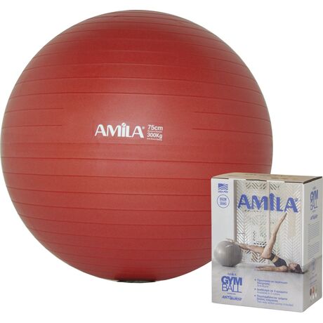 Μπάλα Γυμναστικής Gymball 75cm AMILA Γκρι Κωδ. 95866